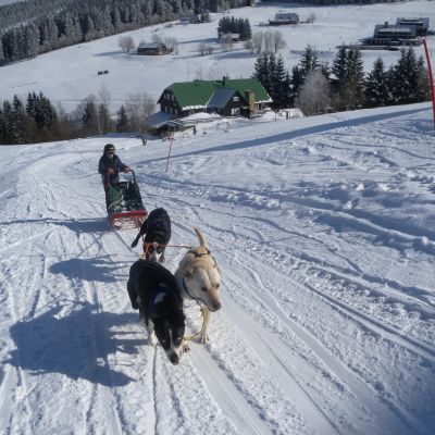 mushing-063831A6F1-F6FB-52A5-72D4-D4E137D35F70.jpg