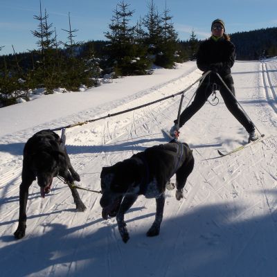 mushing-213BFE511D-E721-9308-B50E-2B4F996B0DD0.jpg