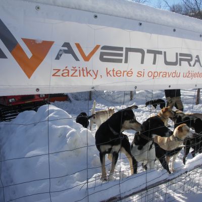 mushing-23859DA094-FCE1-0B3C-4714-06F0D4D1B3EE.jpg