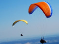 para 01fde2e2ca 5f6c 2347e cb88d01a184f