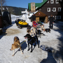 mushing 09dd50cd8a 3121 0e21c9 d646ae7332d8